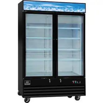 Nexel Merchandiser Freezer, 2 Glass Doors, 45 Cu. Ft., Black