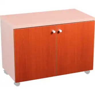 Interion Door Kit for 30" Storage Cabinet (695515)