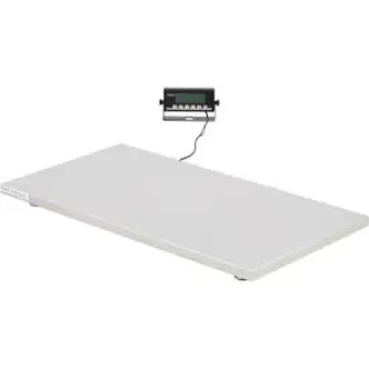 Global Industrial Stainless Steel Veterinary Scale, 1,000 Lb Capacity, 42"L x 21-21/32"W