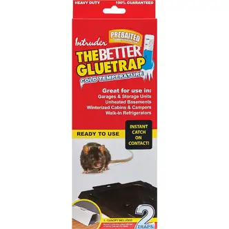 Intruder The Better Glue Trap Cold Temperature Rat Trap (2-Pack)