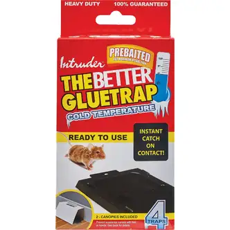 Intruder The Better Glue Trap Cold Temperature Mouse Trap (4-Pack)