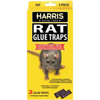 Harris Glue Rat & Mouse Glue Trap (2-Pack)