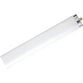 Philips 59W 96 In. Daylight T8 Single Pin Fluorescent Tube Light Bulb