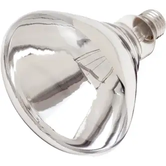 Satco 250W Clear Medium Base R40 Incandescent Heat Light Bulb