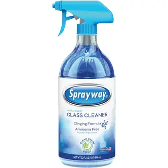 Sprayway 32 Oz. Glass & Surface Cleaner Trigger Spray