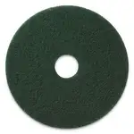 Scrubbing Pads, 20" Diameter, Green, 5/Carton