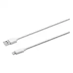 USB Apple Lightning Cable, 10 ft, White