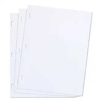 Ledger Sheets for Corporation and Minute Book, 11 x 8.5, White, Loose Sheet, 100/Box