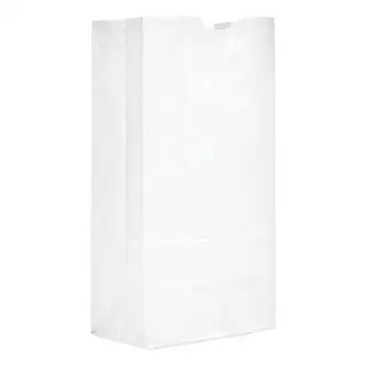 Grocery Paper Bags, 40 lb Capacity, #20, 8.25" x 5.94" x 16.13", White, 500 Bags
