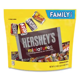 Miniatures Variety Family Pack, Assorted Chocolates, 17.6 oz Bag, Ships in 1-3 Business Days