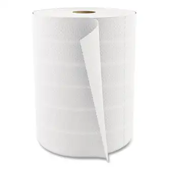 Select Kitchen Roll Towels, 2-Ply, 11 x 8, White, 450/Roll, 12/Carton