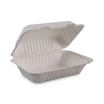 Bagasse Food Containers, Hinged-Lid, 1-Compartment 9 x 6 x 3.19, White, Sugarcane, 125/Sleeve, 2 Sleeves/Carton