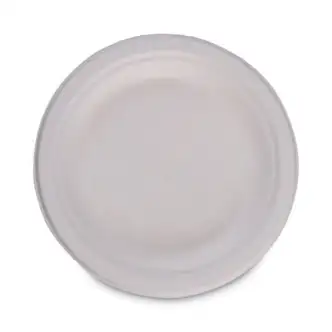 Bagasse Dinnerware, Plate, 6" dia, White, 1,000/Carton