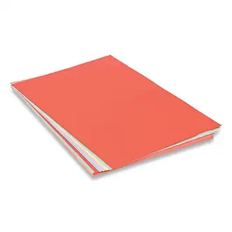 Assorted Colors Tagboard, 24 x 36, Blue, Canary, Green, Orange, Pink, 100/Pack