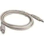 Compucessory USB 2.0 A-B Printer Cables - 6 ft USB Data Transfer Cable - First End: 1 x USB Type A - Male - Second End: 1 x USB Type B - Male - Gray - 1 Each