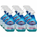 Clorox Disinfecting Bathroom Foamer with Bleach - For Bathroom - 30 fl oz (0.9 quart) - 9 / Carton - Disinfectant - Clear