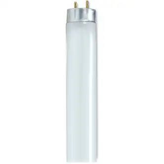 Satco 32-watt 48" T8 Fluorescent Bulbs - 32 W - 120 V AC - 3050 lm - T8 Size - Cool White Light Color - 24000 Hour - 6920.3°F (3826.8°C) Color Temperature - 85 CRI - 6 / Carton