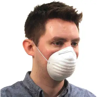 ProGuard Disposable Nontoxic Dust Mask - Pollen, Dust, Grass Protection - Polypropylene - White - Disposable, Elastic Band - 12 / Carton