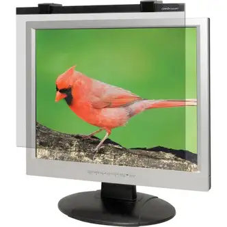Business Source 19"-20" Monitor Antiglare Filter Black - For 19" Widescreen LCD, 20" Monitor - 16:10 - Acrylic - Anti-glare - 1 Pack
