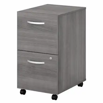Bush Business Furniture Studio C 2 Drawer Mobile File Cabinet - 15.7" x 20.2"27.7" - 2 x File Drawer(s) - Finish: Platinum Gray, Thermofused Laminate (TFL)